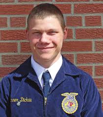 Wayne Layout Template