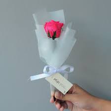 صور وردة حب صور ورد وزهور rose flower images