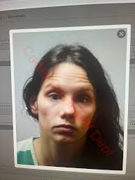 Fugitive Investigators