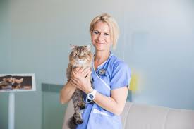Последние твиты от the pet clinic (@thepetclinicor). German Veterinary Clinic Celebrates 10 Year Anniversary Yalla Abu Dhabi Life Yallaabudhabi Ae