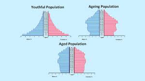 How To Read A Population Pyramid