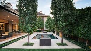 Choosing between privacy trees or privacy shrubs as a barrier. Best Trees For Privacy Shade And More You Ll Adore