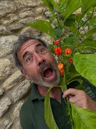 Chilli Island is open 10am till 3:30 pm today Online www.chilliisland.co.uk