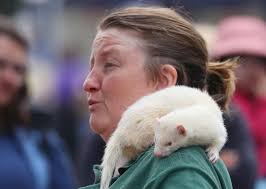 Alresford: local news from the area