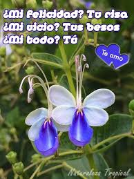 Postales De Amor Para Compartir Con Seres Queridos My Love Wife To Be My Everything