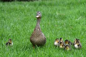 Its art, not porn: New mural of OnlyFans creators unveiled in Miami