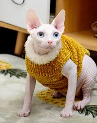 See more ideas about cats, hairless cat, sphynx cat. Sphynx Cat Sweater Jumper Waistcoat Clothes Faux Fur Pets Costume Winter Lovely Ebay