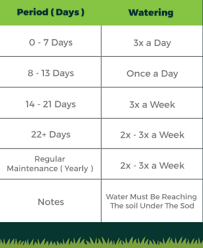 Maybe you would like to learn more about one of these? New Sod Care Paradise Restored Landscaping