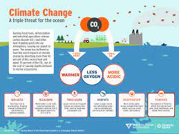 What can be done about climate change? Climate Change And The Ocean Mbari
