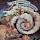 Image of Moody Blues album covers