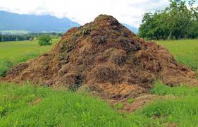 Two big fat pigs for sale ready for slaughter $500 (pdx > rainier) pic hide this posting restore restore this posting. Guidelines For Using Animal Manures And Manure Based Composts In The Garden Fact Sheet Unh Extension