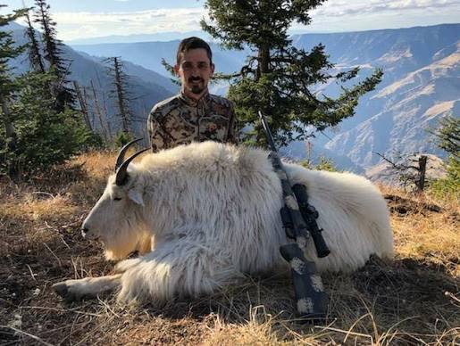 Mountain-Goat