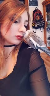 For people who have/had a cockatiel, how old are they? Or how old were they  when they passed? My birbo is 20 and I'm scared I don't have much more time  left.