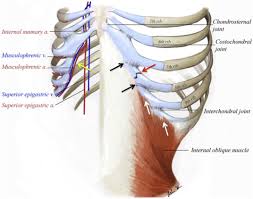 A generalized weakness over the. Cough Induced Costal Cartilage Fracture Sciencedirect