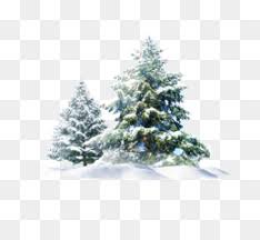 Snow Tree Png Snow Tree Winter Snow Trees Holiday Snow Trees Blue Snow Trees Snow Trees Water Snow Trees Sunlight Snow Trees Paintings Snow Tree Well Snow Tree Border Bird Snow Trees, snow, christmas lights, and magical feasts: snow tree png snow tree winter snow