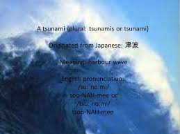 The word tsunami is not of english origin. A Tsunami Plural Tsunamis Or Tsunami Originated From Japanese æ´¥æ³¢ Meaning Harbour Wave English Pronunciation SuËËˆnÉ'Ëmi Soo Nah Mee Or TsuËËˆnÉ'Ëmi Ppt Download