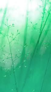 60 Beautiful Nature Wallpaper Free To Download Godfather Style Nature Iphone Wallpaper Beautiful Nature Wallpaper Iphone 6 Wallpaper