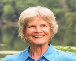 Local communities prepare for midterm elections