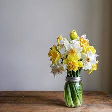 No Title Yellow Flower Arrangements Beautiful Flowers Narcissus Flower
