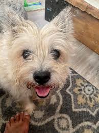 It is with a heavy broken heart letting you know that another devil dog has  earned her wings my sister Pat Brannon Leach passed away last night late in  San Pedro California.