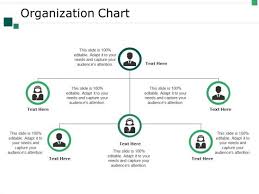 Organization Chart Ppt Powerpoint Presentation Slides