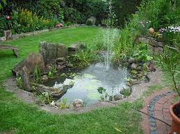 Damit wurde der lebensraum vieler tiere und pflanzen zerstört. Der Neue Teich Bilder Und Fotos Ponds Backyard Diy Garden Fountains Waterfalls Backyard