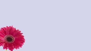 We have found 2 total discount codes & deals for hot flowers usa. 57tgyufe538gum