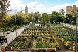 Mufi Launches Campaign To Create A Sustainable Urban Agrihood Urban Agriculture Urban Farming Urban Farming Architecture