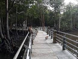Lojing highland merupakan salah satu tempat menarik di gua musang yang perlu anda lawati. 13 Tempat Menarik Di Lumut Terokai Keindahan Bandar Pesisir Manjong
