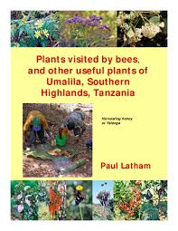 Image result for Phragmanthera eminii