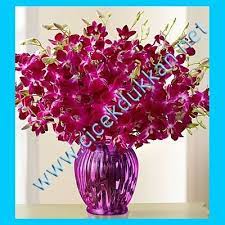 Istanbul Cicekci 0212 618 37 41 Http Www Sultangazidecicekci Com Bayrampasa Cicekci Gaziosmanpasa Cicek Www Ist Cicek Aranjmani Mor Cicekler Guzel Cicekler