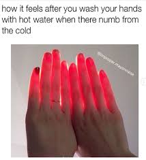 46 Extremely Funny Memes That Will Make You Laugh Out Loud Justviral Net Extremely Funny Memes Really Funny Memes Funny Relatable Memes 23 savage memes meant to offend. 46 extremely funny memes that will make