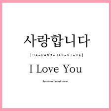 641 translations, 126 thanks … How To Say I Love You In Korean Your Everyday Korean Facebook