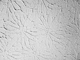 We did not find results for: Wall Texture Types For Your Next Drywall Project