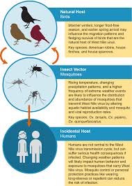 All we are trying to do is to raise awareness of the immense range of pests and diseases that threaten agricultural crops, the devastation they can cause, and the difficulties in controlling them. Chapter 5 Vector Borne Diseases Climate And Health Assessment