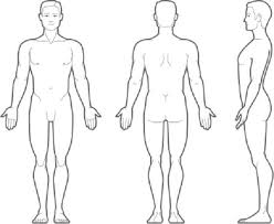 Human Body Outline Front And Back Healthy Blog Body Outline Human Body Shape Human Body