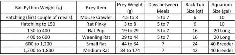 18 Inquisitive Burmese Python Size Chart