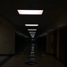 The hallway is decorated with dark wooden panels, metal details and luxurious chandeliers. A Dark Hallway La Vie D A