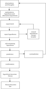 Precise Scientific Method Flow Chart Blank 2019