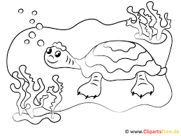 Ausmalbild Schildkroete