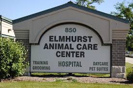 It is our desire to be of service to your pet and you, to we are a full service animal hospital providing comprehensive healthcare services to pets in elmhurst and. Elmhurst Animal Care Center Celebrates 10 Years New Partnership For Women S Health Elmhurst Il Patch