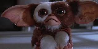 We did not find results for: Gremlins 3 Update Chris Columbus Says Creatures Won T Be Cgi