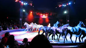 The vazquez hermanos circus is one of more than 80 mexican circuses. Vazquez Hermanos Circus Eight Horse Routine Youtube