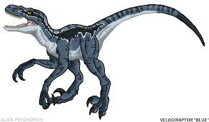 You can use our amazing online tool to color and edit the following jurassic world raptor coloring pages. Velociraptor Blue Jurassic World Coloring Pages