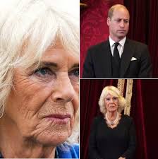 Off-topic post about Camilla in a cat group