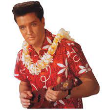 After arriving back in hawaii from the army, chad gates (elvis presley) defies his parents' wishes for him to work at the family business and instead goes to work as a tour guide at his girlfriend's agency. Elvis Promo From Blue Hawaii Elvis Presley Blue Hawaii Blue Hawaii Elvis