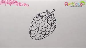First, we need to outline the outer contours of the raspberry. How To Draw Raspberry Easy Youtube