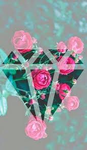 We Heart It Wallpaper Roses Summer Sun Tumblr Wallpaper We Heart It Image 333554 Rose Wallpaper Emoji Wallpaper Iphone Wallpaper