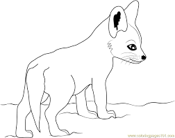 Baby fox easy fox coloring pages. Free Baby Fox Coloring Pages Fox Coloring Fox Coloring Pages Fox Coloring Page
