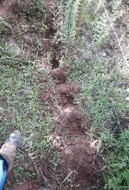 RELATÓRIO DAS MEDIDAS DE CONTROLE DE EROSÃO E MANUTENÇÃO DA BIOENGENHARIA  IMPLEMENTADAS NOS TRECHO 1 A 11 DO PLANO DE MANEJO
